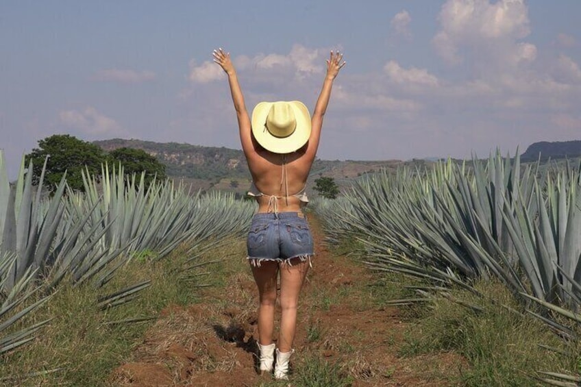 Full Day Guided Tour of Tequila and Amatitan with Tasting