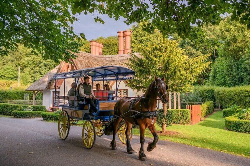 Private Jaunting Tour and Afternoon Tea in Killarney