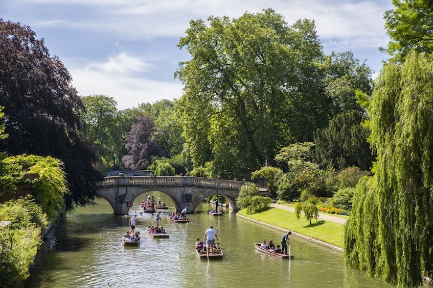 Dive into History: Cambridge & Medieval England from London