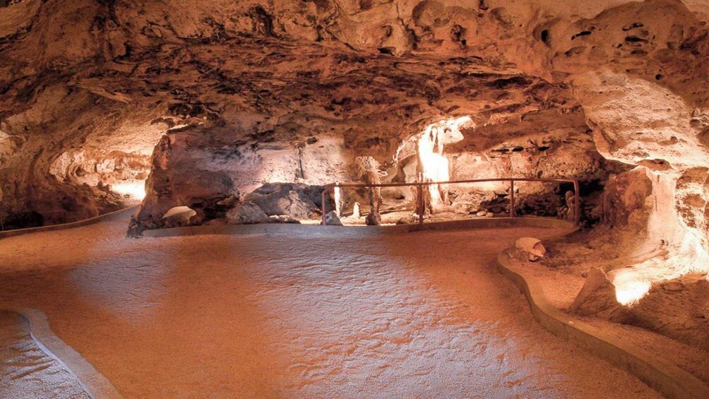 Picture 4 for Activity Half Day Hato Cave, Flamingo & Beach Tour