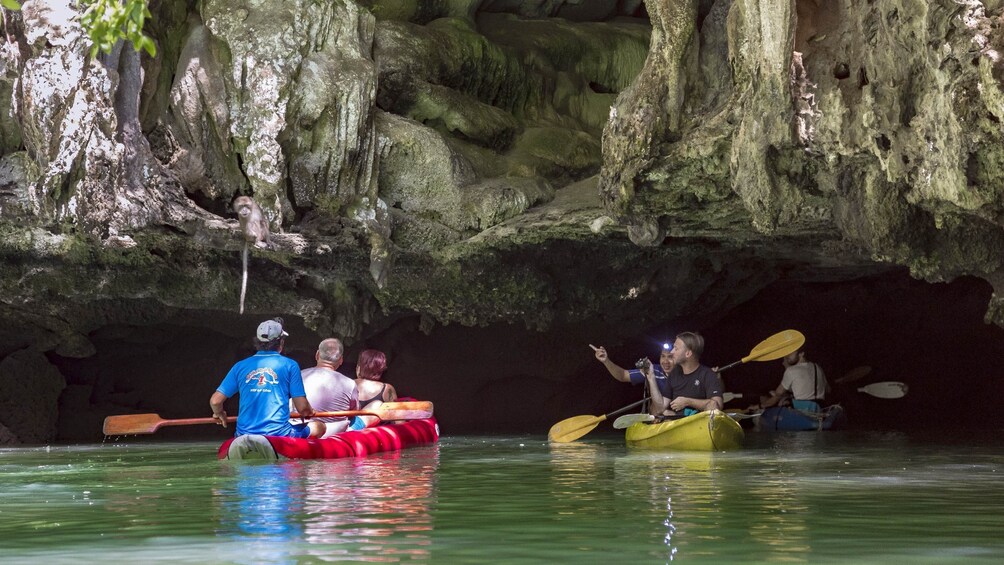 Twilight Sea Canoe Experience