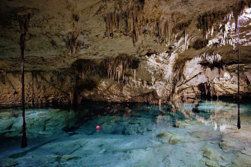 Private Cenote & Snorkeling Tour with Turtles in Akumal