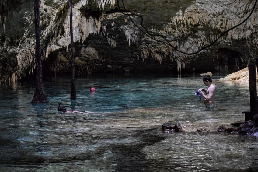 Private Cenote & Snorkeling Tour with Turtles in Akumal