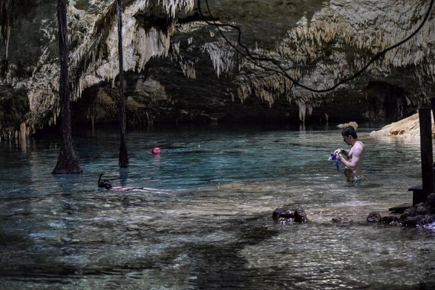 Private Cenote & Snorkeling Tour with Turtles in Akumal