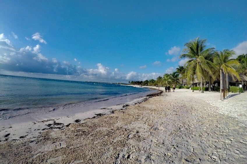 Private Cenote & Snorkeling Tour with Turtles in Akumal