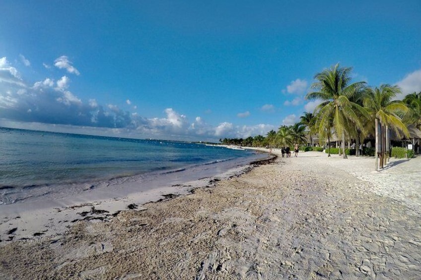Private Cenote & Snorkeling Tour with Turtles in Akumal