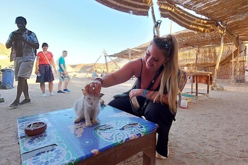 Jeep Safari and Stargazing An Unforgettable Adventure in Hurghada