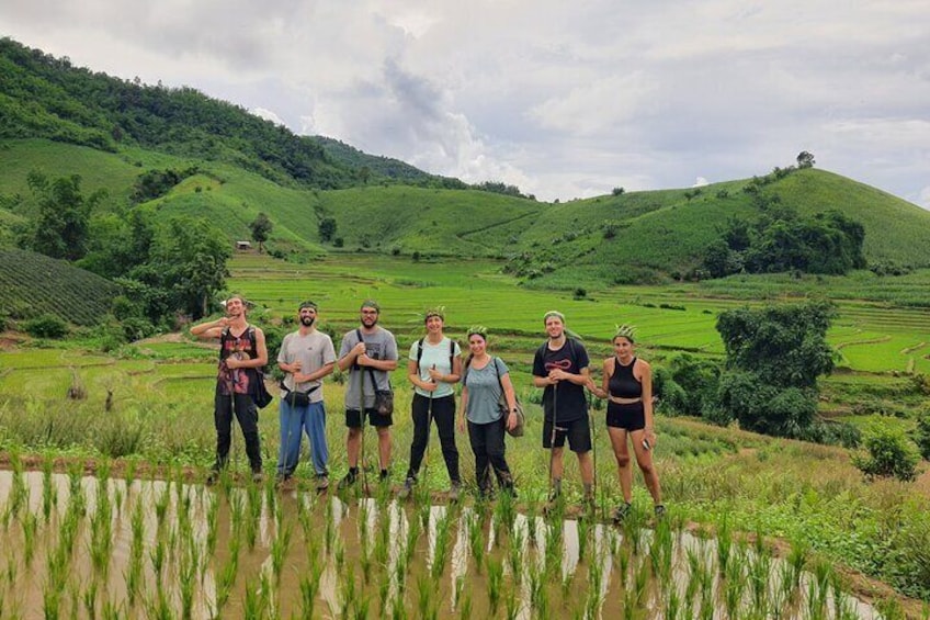 Rice terrace view.