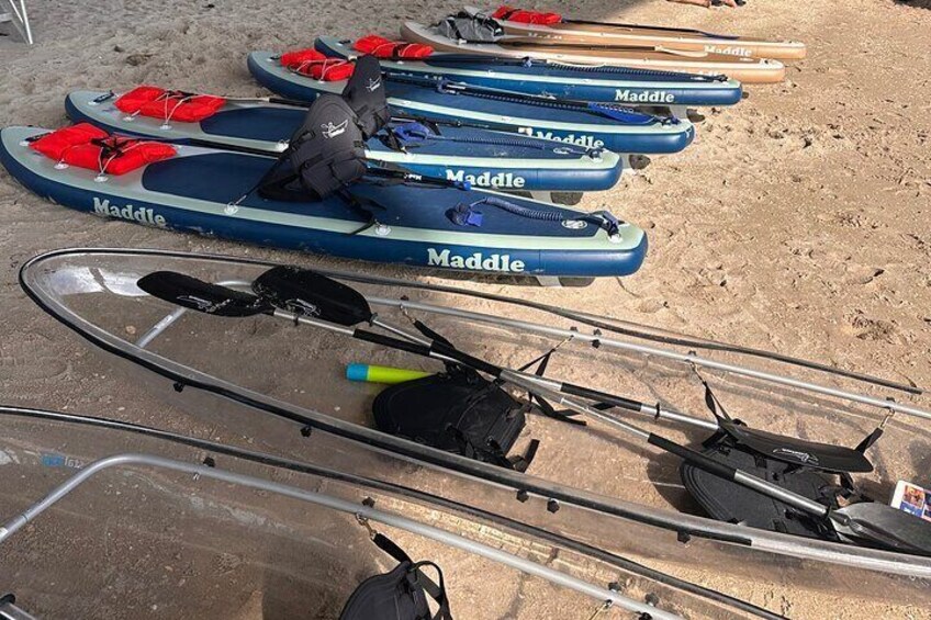 Clear Kayak Peanut Island Guided Tour Palm Beach Singer Island