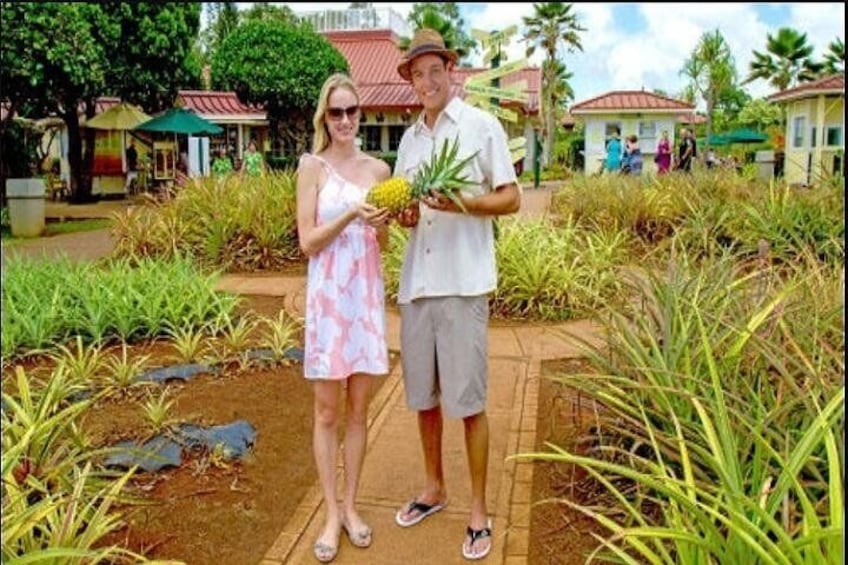 Pearl Harbor, Dole Plantation, Polynesian Center from Waikiki