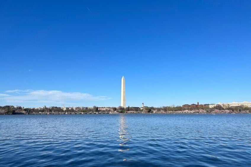 Walk Around the Tidal Basin Guided Tours or Self Tour