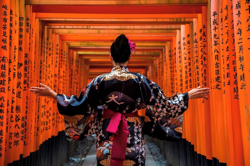 Kyoto Highlights: with Nijo Castle Ticket & Bamboo Forest