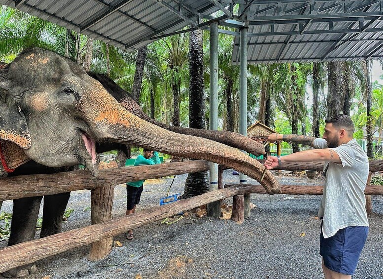 Picture 1 for Activity Krabi: Elephant Feeding Program