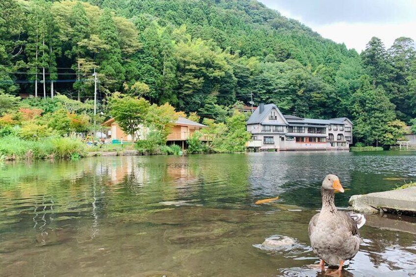 Full Day Tour to Dazaifu Tenmangu Yufuin Beppu Jigoku