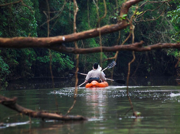 5-Day Iguazu Falls: Remote Jungle Lodge Escape with Airfare from Buenos Air