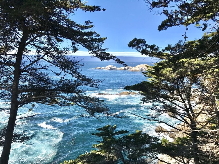 BEST Carmel &17-Mile Drive & Monterey Day Tour from San Francisco