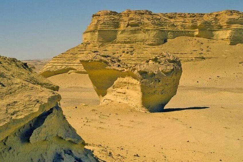 Whale Valley and Wadi El Rayan El Fayoum Day Tour from Cairo