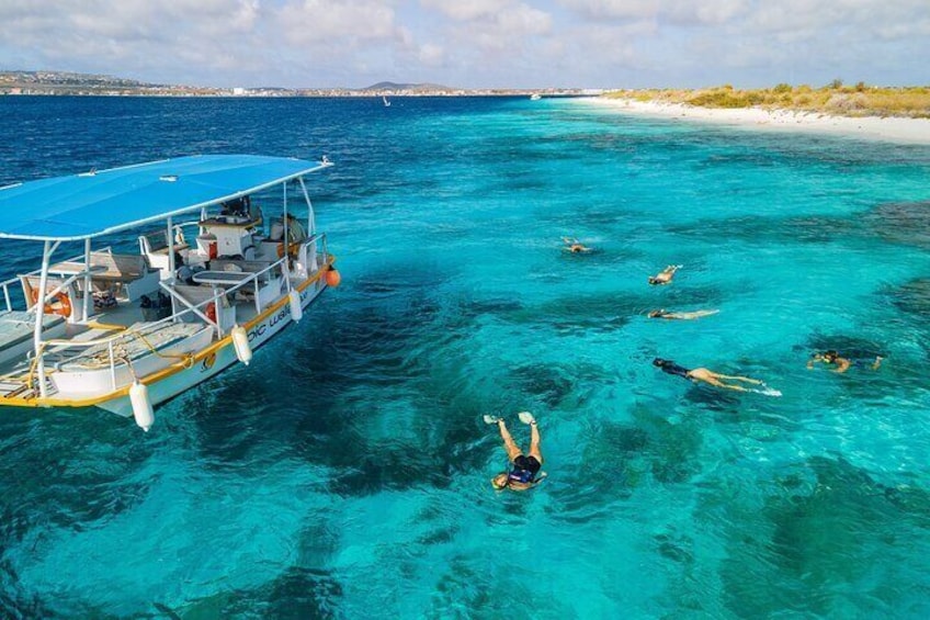 Drift Snorkeling (free service)