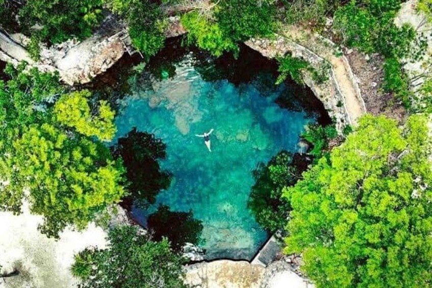 Cenotes Casa Tortuga