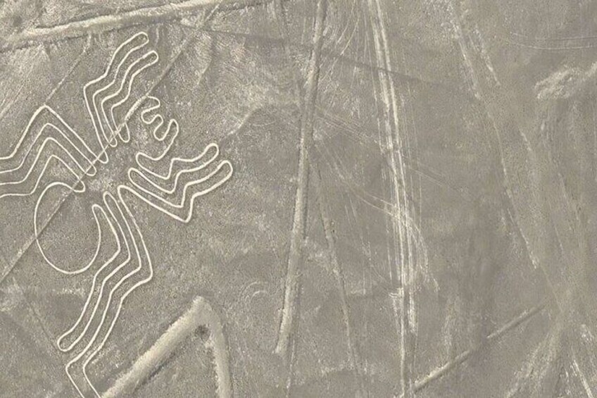 Visit Nazca Lines from Lima | Full-Day Fly Over the Geoglyphs 
