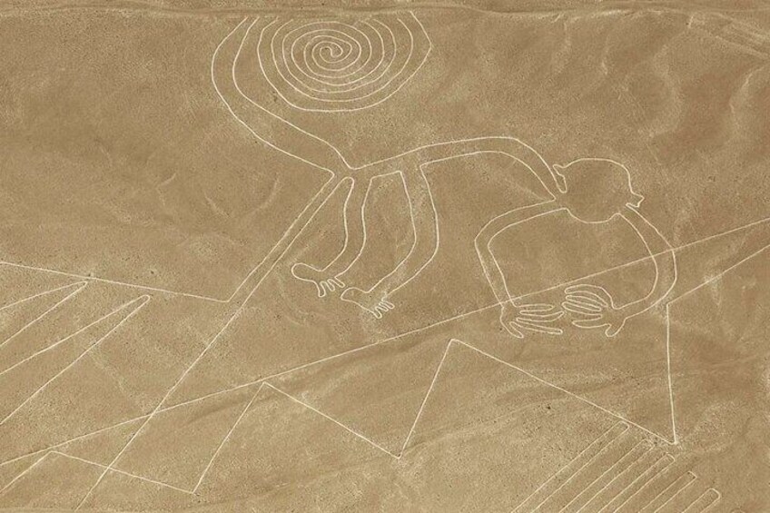 Visit Nazca Lines from Lima | Full-Day Fly Over the Geoglyphs