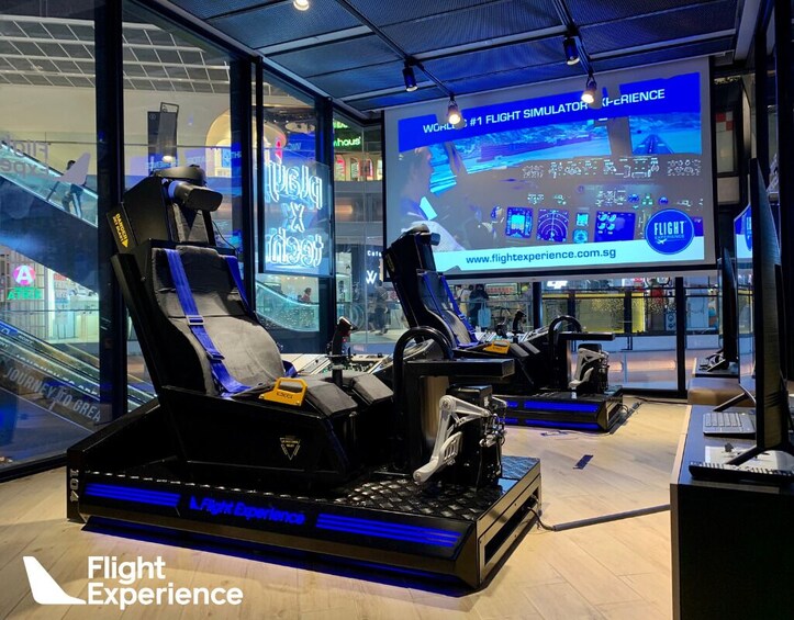 30 Mins Virtual Reality Flight Experience