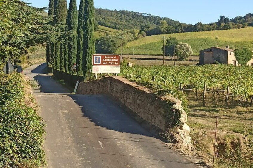 Private transfer Firenze - Pisa with stop in Volterra