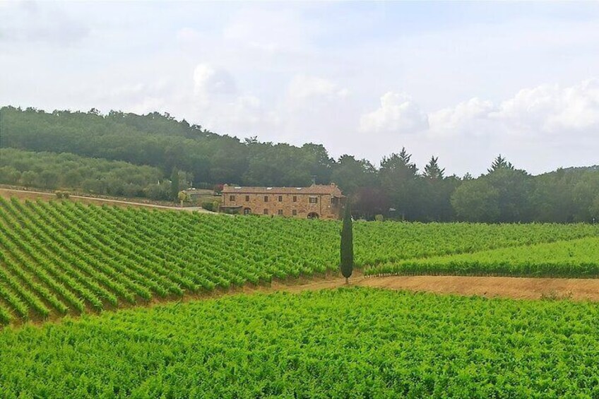 Private transfer Firenze - Pisa with stop in Volterra 