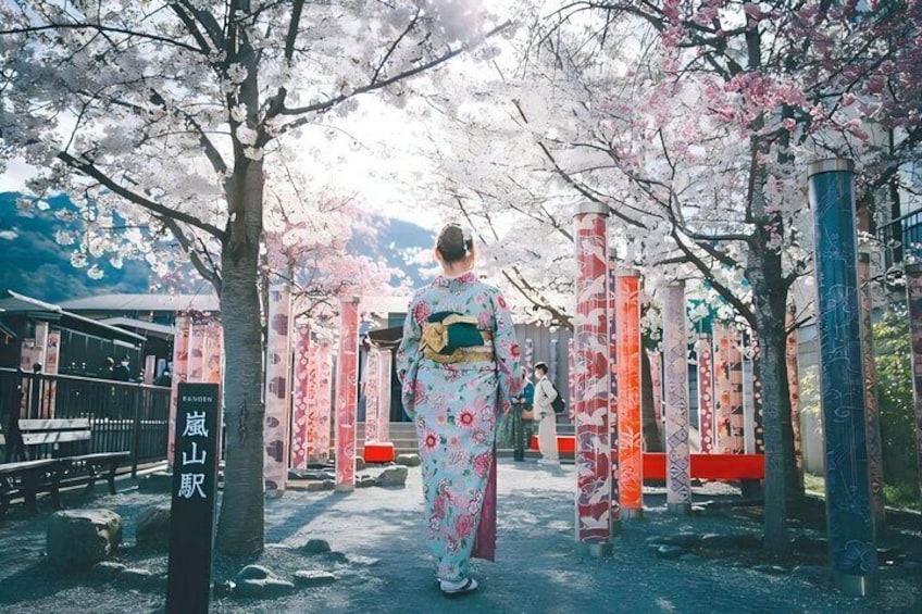 From Osaka: Kyoto Must-see Spots & Nara Park Sightseeing Day Tour