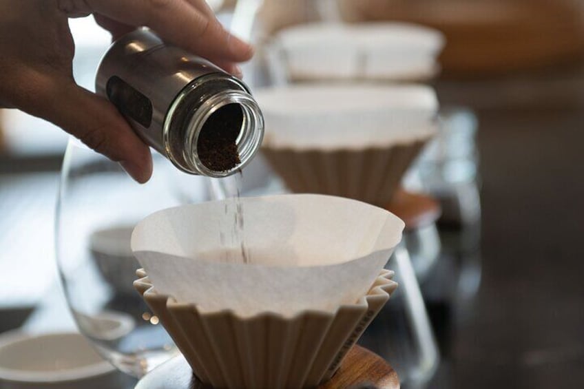 Geisha Experience Panama Where Coffee Transforms Into Art
