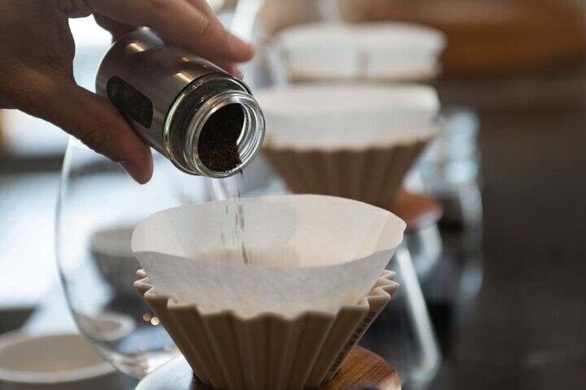 Geisha Experience Panama Where Coffee Transforms Into Art