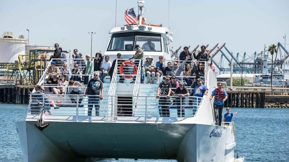 Picture 7 for Activity Long Beach: Whale and Dolphin Watching Cruise