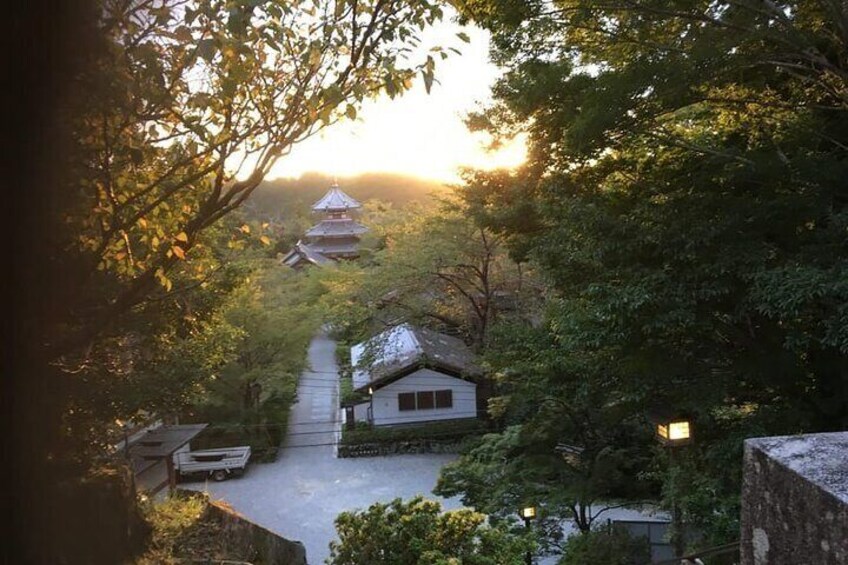 Private Guided Day Trip to Yoshino, Japanese Mountain
