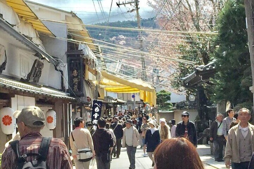 Private Guided Day Trip to Yoshino, Japanese Mountain