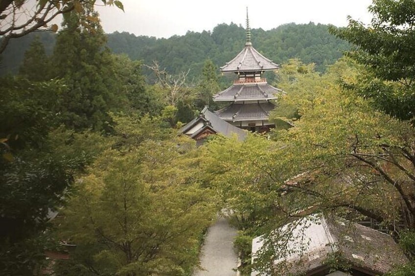 Private Guided Day Trip to Yoshino, Japanese Mountain