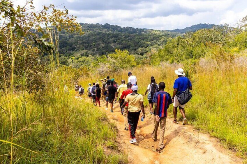 Shimba Hills Safari & Sheldrick Falls Hike - From Mombasa/Diani