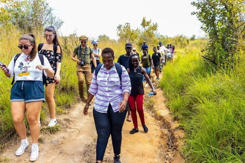 Shimba Hills Safari & Sheldrick Falls Hike - From Mombasa/Diani