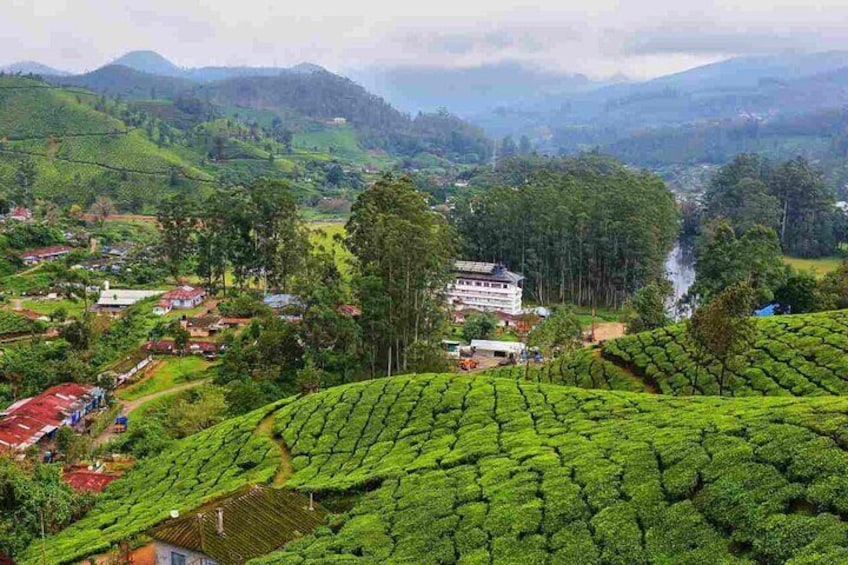 05 Days Kerala Tour