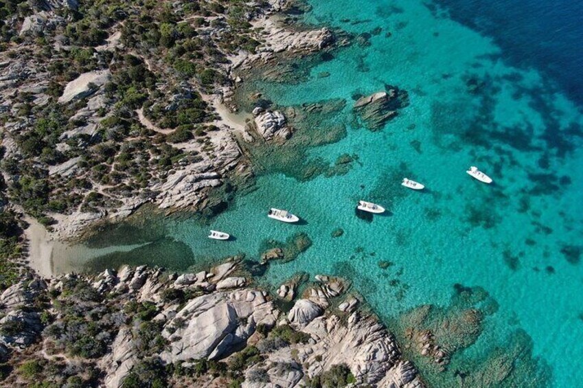 Palau: private RIB tour in La Maddalena Archipelago