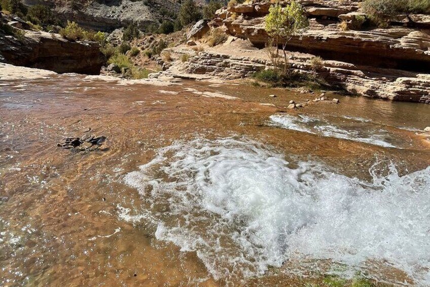 Crystal Clean swimming oasis