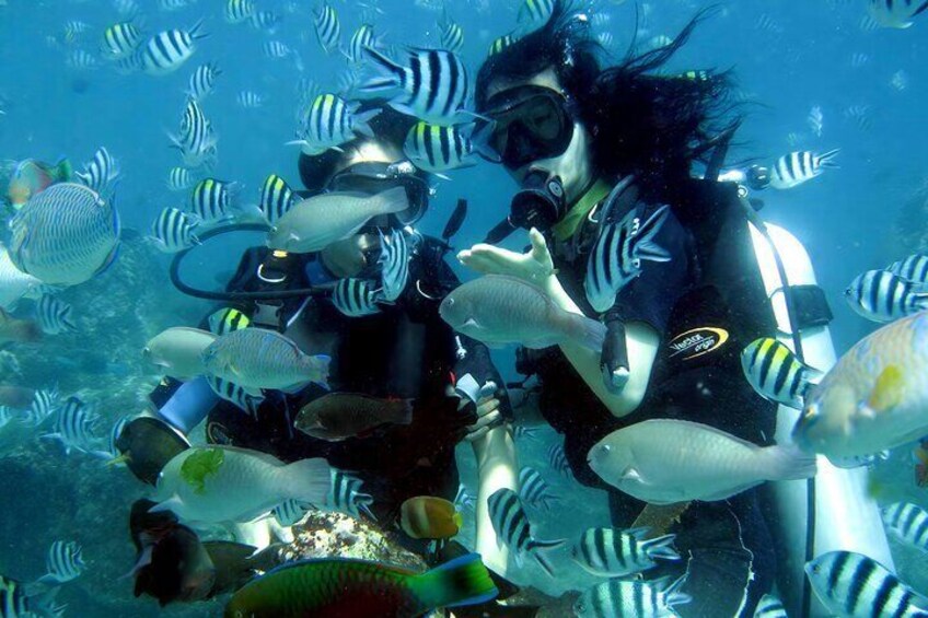 Scuba Dive