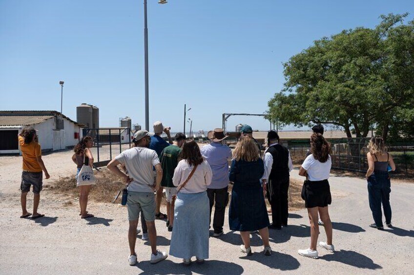Gaza Border Reality Tour from Tel Aviv
