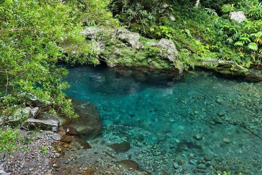 Visit of Reunion Island