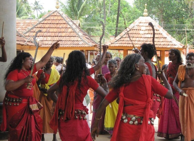 Picture 3 for Activity Cochin shore excursion with Lijo Jose