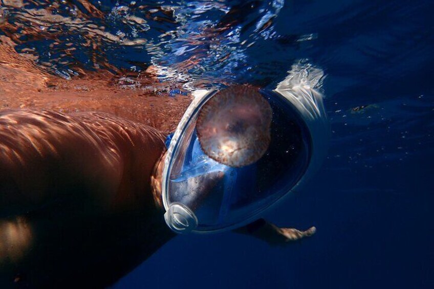 Phi Phi Islands Private Luxury Tour