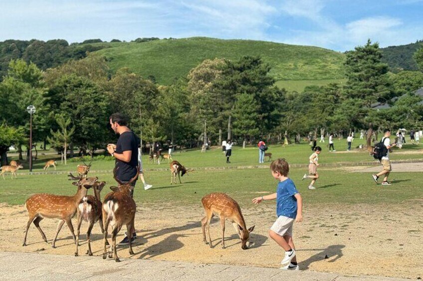 Nara Private Custom Tour