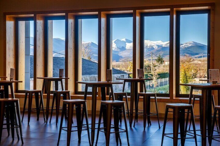 Wine Tasting and Aperitif in Bodegas Pedro Martinez Alesanco
