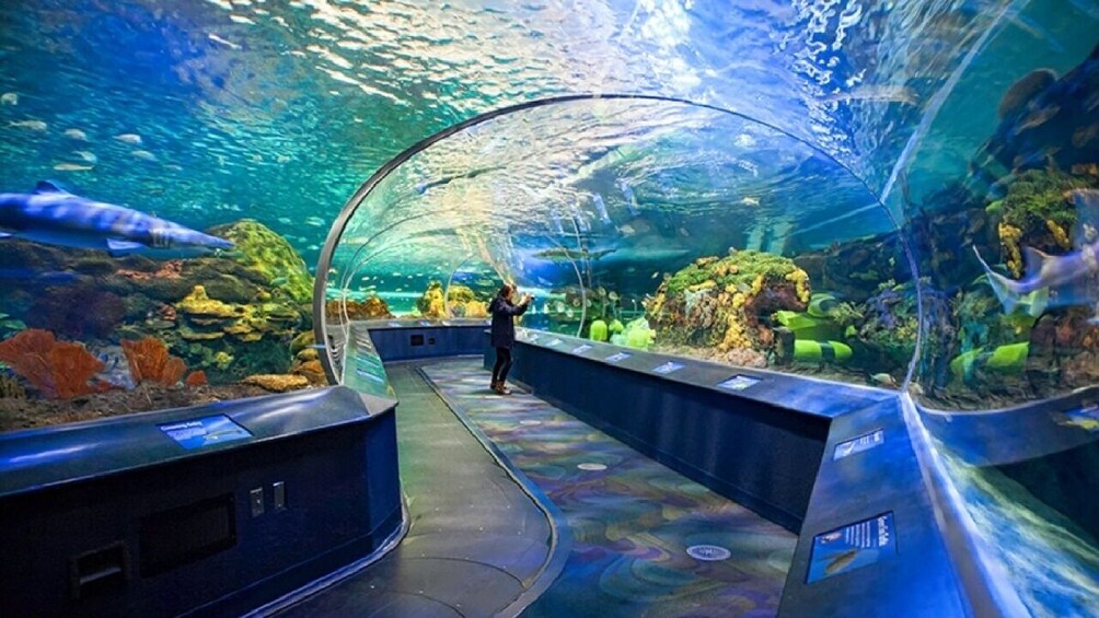 Small Group:Toronto City 1-Day Sightseeing Tour