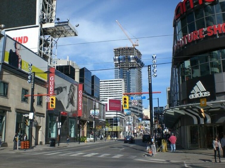 Small Group:Toronto City 1-Day Sightseeing Tour