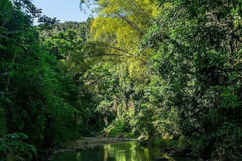Cave, Waterfall, and River Adventure in Charco Azul; San Juan